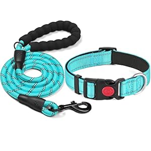 Haapaw Reflective dog collar padded with soft neoprene, breathable, adjustable nylon dog collars for small medium large dogs