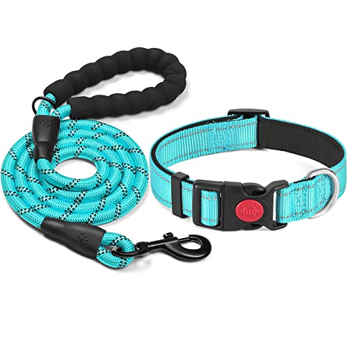 haapaw reflektierendes Hundehalsband gepolstert mit weichem Neopren atmungsaktiv einstellbar Nylon Hundehalsbänder für kleine mittlere große Hunde 5 haapaw reflektierendes Hundehalsband gepolstert mit weichem Neopren atmungsaktiv einstellbar Nylon Hundehalsbänder für kleine mittlere große Hunde