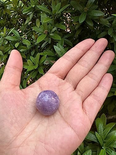 Image of GAF TREASURES 1 /2 LB Lepidolite Tumbled Stones, Polished Lepidolite Gemstone, Lepidolite Healing Crystals (Lepidolite)