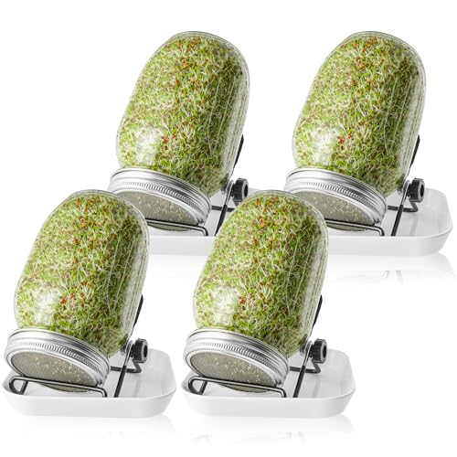 Sprossenglas Set|2er-Set 1000ml Keimglas mit Deckeln und Haltern und Schalen|Sprossengläser für die Sprossenzucht und Keimung von Samen Sprouting Glass (4er-Set)