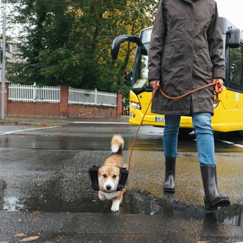 Ruiqas Hunde Kopfhörer für Gehörschutz Noise Cancelling Ohrschützer Lärmschutz Muffs Hunde Gehörschutz für Gewitter Jagd