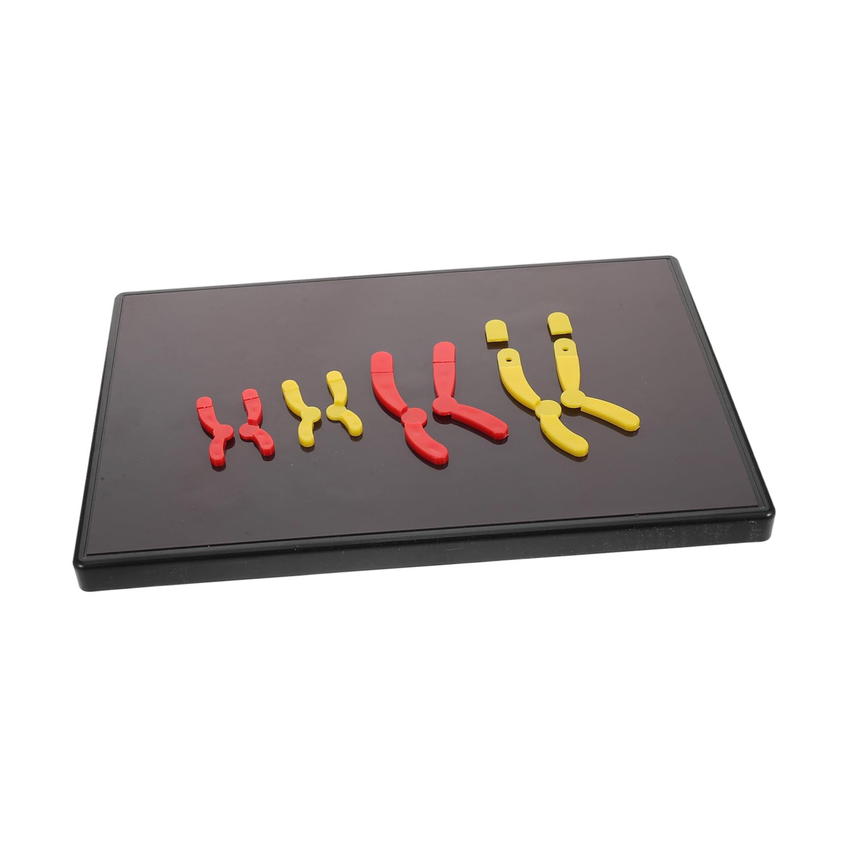 Healifty Magnetic Model Kit for Biology Classrooms Educational Teaching Prop for High School and Middle School Simplified Genetics Learning Tool for Interactive Science Lessons
