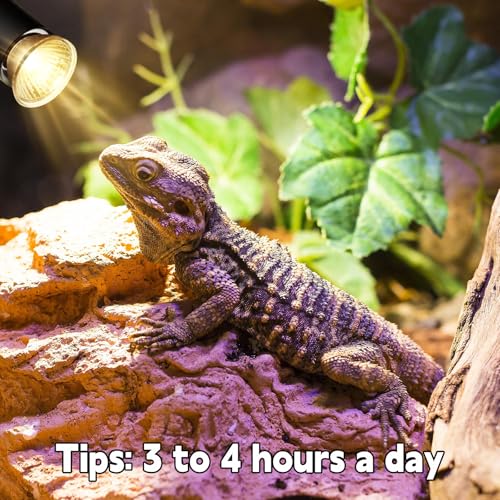 Image of Reptile Heat Lamp, UVA UVB Heat Lamp Bulbs, E26 Turtle Heat Lamp Bulbs 25W 4Pack, Basking Light for Bearded Dragon, Lizard, Snake and Frog