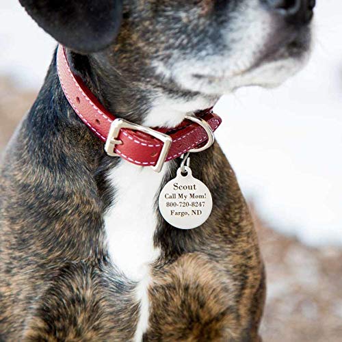 DogIDs Personalized Round Circle Dog Identification Tag, Custom Laser Engraved Double Sided ID Tag with S-Hook and Split Ring - Brass, Large, 1 1/4 in