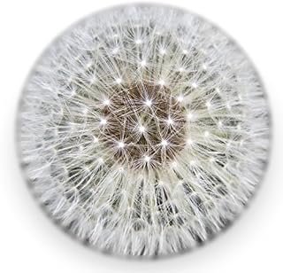 Dandelion Paperweight - Made from a Real Dandelion (Full Sphere)