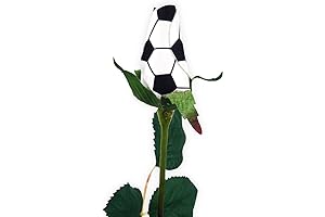 Introducing Forever Rose Vase: The Perfect Gift for Sports Enthusiasts