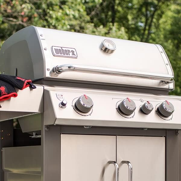 Limpia Acero Inoxidable Weber 12 oz Paquete 6 Citrus miniatura 2
