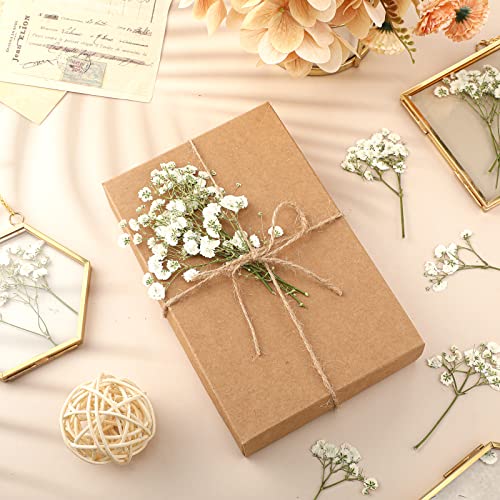 Mini Flores Secas Bebé Soplo 300 Pcs Blanco Marfil miniatura 4