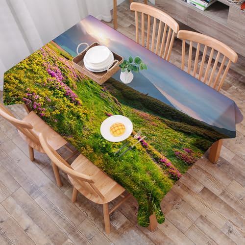 DALEXHM Mantel Mesa Rectangular 137x183 cm,Hierba Fresca y Flores de rododendro brillando con la última luz del Sol a,Durabilidad y Fácil Limpieza para tu Mesa - Mantel Hule Antimanchas e Impermeable