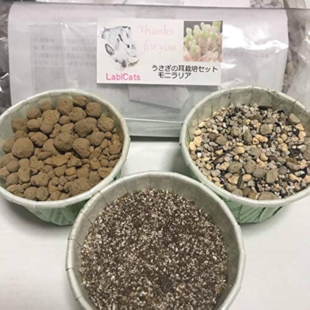 モニラリア　種子16種類　20粒ずつセット モニラリア 種子16種類 20粒ずつセット