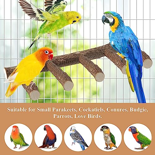 Parrot Wood Stand, Parrots Perch for Cage, Natural Bird Ladder for Small Medium Parrot, Parakeets, Cockatiels, Conures, Hamster(12.2 inch)