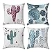 DEL DUCA PRINT - Federe Decorative Copri Cuscino in Cotone - Misura 50x50 cm - Confezione 4 Pack - Stampa Cactus - Grafiche Diverse - Federa Copricuscino Divano Letto - Idea Regalo
