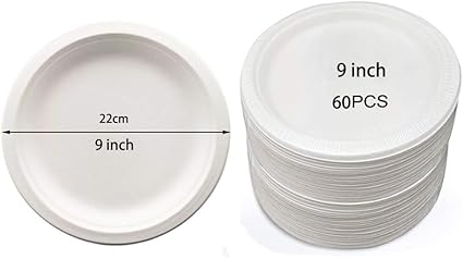 amazon disposable plates
