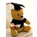 YWSZJ Giocattoli di Peluche Giocattoli di Peluche Orso di Peluche con Orso Dottore Impara a Leggere Il Regalo di Laurea in Teddy Bear Doll