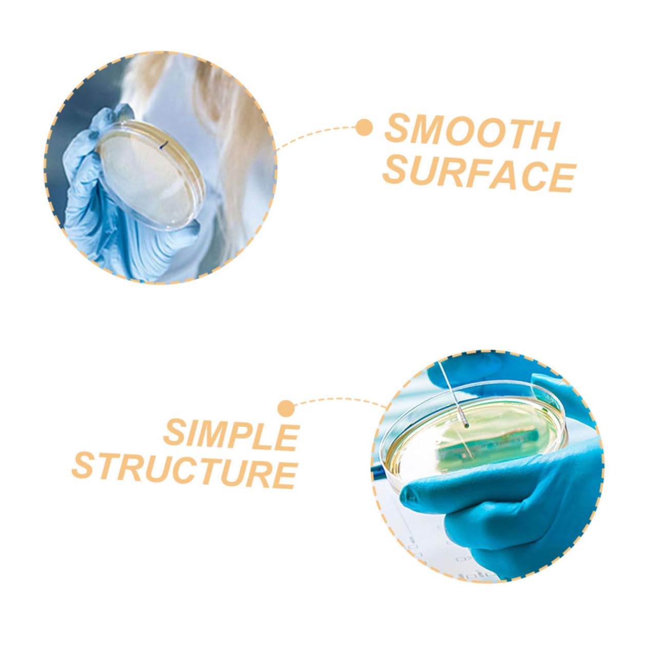 Zerodeko 4 Set Piastra Petri in Plastica Piastra Di Coltura Tissutale Laboratorio Tessuto Coltura Cellulare Contenitore Campione Per Di Petri Piastre Di Petri 10 Pezzi * 4
