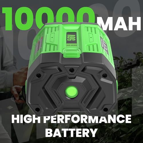 Image of Upgraded 10.0Ah 2 Pack Rechargeable Battery Replacement for EGO 56V Battery