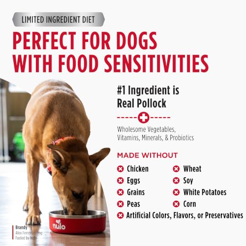 Image of Nulo Freestyle Limited Ingredient Dry Dog Food - High Protein Alaska Pollock & Lentils Recipe, Natural Grain Free Dog Food for Puppies & Adults, Small, Medium and Large Breed Kibble, 24lb Bag