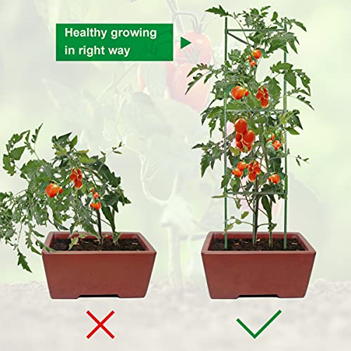 Piquets déformables assemblés pour tuteurage de tomates modulable - 8