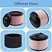Aolleteau 2 Pack Fine Dust Cartridge Filter Compatible with Vacmaster VF408, VF410P, Wet/Dry Vac Beast VFB511B 0201 and Cleva Industrial VF408B (2 Pack Vacuum Filters and 2 Pack Foam Filters), RED