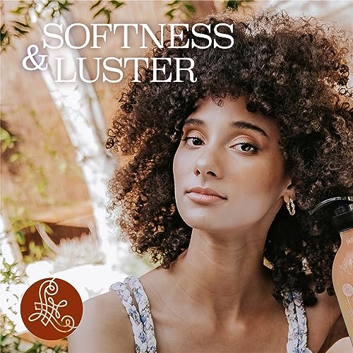 Image of LUSETA Turmeric Collagen Shampoo for Fuller Looking Hair, 16.9 oz | Fine or Oily Hair Care, Fuller-Looking Volume, Turmeric Collagen Blend, Color-Safe Wash, Sulfate-Free Formula