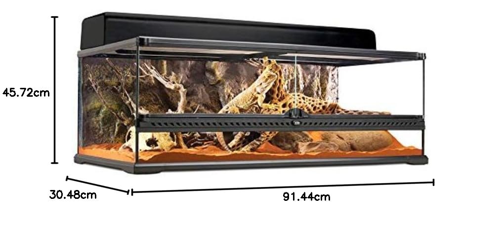 Exo Terra PT2611 Terrario in Vetro 90X45X30 Cm Inclusa Parete Posteriore