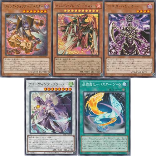 �y�o�X�^�[�E���[�h �S5��܂Ƃߔ���z �V�Y���J�[�h �o�X�^�[�E���[�h BPRO �S5��Z�b�g �o�[�X�g�E�v���g�R�� BURST PROTOCOL �^�o�X�^�[ �X���b�V���o�X�^�[