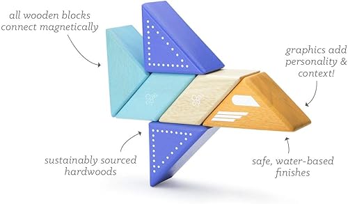Miniatura 10 de Tegu Compañeros de viaje, avión a reacción