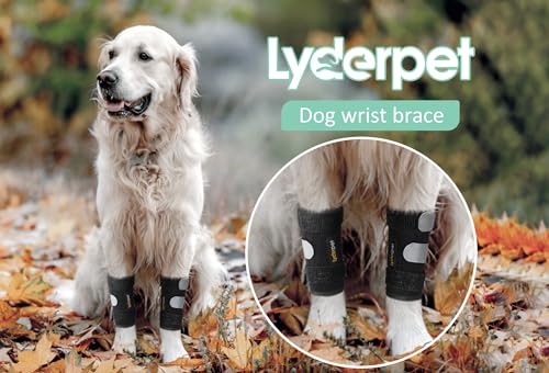Lyderpet Suporte de pulso para perna frontal para cães, tala de suporte carpo canino, previne lesões