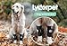 Lyderpet Dog Front Leg Brace Ankle Support for Forelilmb, Canine Dog Wrist Brace Splint, Protects Foreleg Carpus Joint Wounds Heals, Helps with Loss of Stability Caused by Arthritis