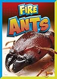 Fire Ants (Dangerous Bugs)