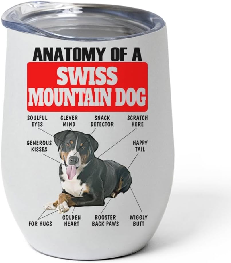 Lying Swiss Mountain Dog Tumbler 12oz - Funny Anatomy Chart Design - Stainless Steel Vacuum Insulated Wine Cup With Lid - Gifts for Dog Lovers