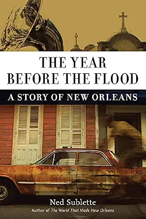 The Year Before the Flood: A Story of New Orleans Reprint Edition book cover