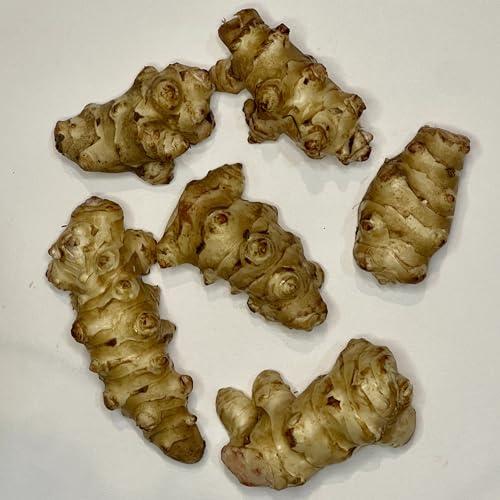 7 Tubers Jerusalem Artichoke