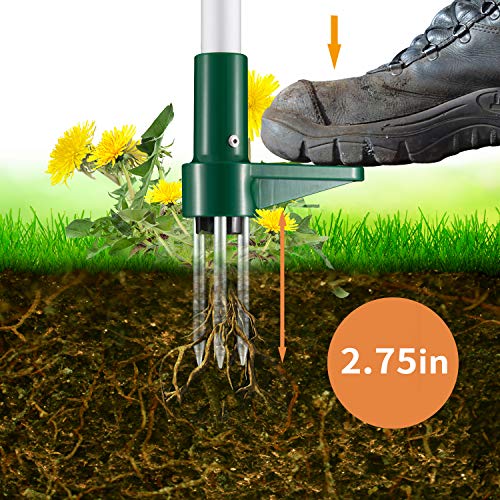 Walensee Weed Puller, Stand Up Weeder Hand Tool, Long Handle Garden Weeding Tool with 3 Claws, Hand Weed Hound Weed Puller for Dandelion, Standup Weed Root Pulling Tool and Picker, Grabber (1 Pack)