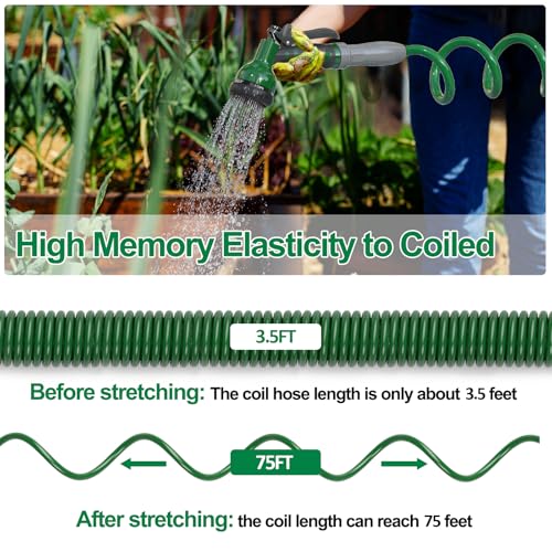 Specilite Lightweight Coil Garden Hose 75 Ft× 3/8" thumb #1