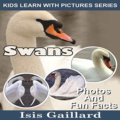 Swans: Photos and Fun Facts for Kids by Isis Gaillard episode artwork