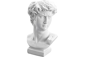 [Greek Statue] David Statue Vase - 6 Inch Greek Bust Head Aesthetic Planter