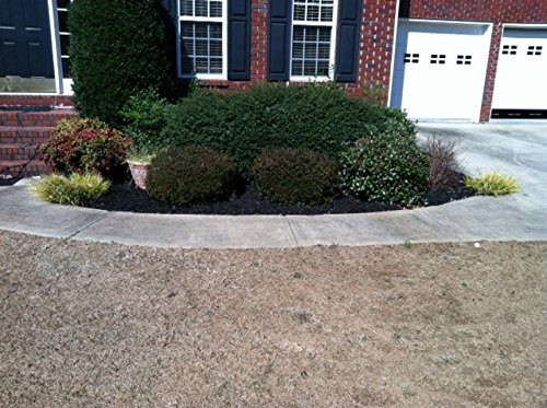 Envirocolor Bf0032 851612002018 2,400 Sq. Ft. Black Forest Mulch Color Concentrate, 1 Quarts (Pack Of 1) #TOP5