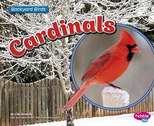 Cardinals (Backyard Birds)