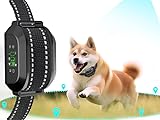 HWWSEC GPS Wireless Dog Fence, Electric Dog Fence Pet Containment System, Large Signal Range Up to 6560Ft, Portable GPS Dog Boundary Training Collar for Large and Medium Dogs