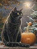Pintar por Numeros Adultos Gato, Luna Pintar por Numeros Manualidades Adultos, DIY Paint by Numbers kits con Pinceles y Pinturas Acrílicas, Decoracion Hogar Otoño, Regalo Mujer, 60x90cm 0-8221