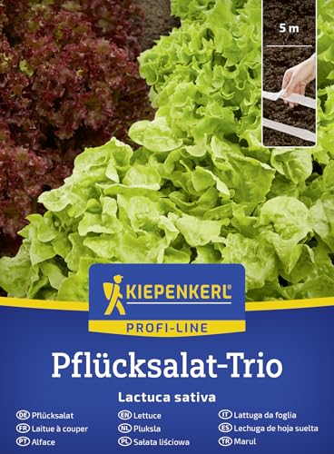 Kiepenkerl Pflücksalatsamen-Trio Saatband 50944-3 Sorten Blattsalat für Beet Hochbeet und Kübel resistent gegen Falschen Mehltau und Salatblattläuse für die ganze Freilandsaison
