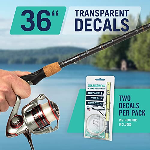 20 Règles En Plastique Transparent 30cm (12") - Résistantes à L'éclatement - Happy Packers