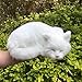 Lifelike White Sleeping Cat Figurine - Realistic Curled Up Faux Fur Kitten Statue, Handcrafted Plush Kitty Home Office Decor, Collectible Gift for Cat Lovers, Stuffed Animal Doughnut Pose Pet Replica