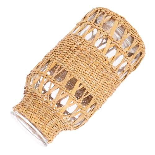 Ciieeo Vase en Rotin Tissé avec Verre Transparent 6.30In Décoratif Polyvalent pour Maison Bureau Ornement Naturel