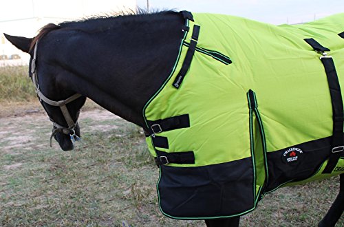 Image of Challenger 1200D Turnout Waterproof Horse Winter Blanket Heavy Belly Band 575B