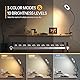Aisutha Leselampe, Schwanenhals Leselampe Bett Augenschutz Klemmlampe mit 3 Modi & 10 Dimmstufen, 70cm Klemmleuchte für Büro Heimgebrauch, Schreibtischlampe Inklusive Adapter, Weiß