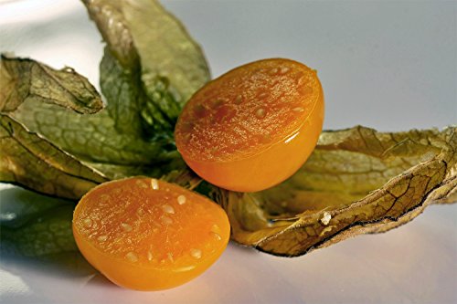 Cemeha Seeds - Cape Gooseberry Goldenberry Groung Cherry Strawberry Orange Physalis Non Gmo Vegetable For Planting #TOP7