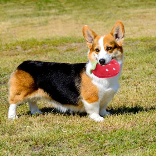 balacoo 2 Pcs Strawberry Juguetes Sonoros para Perros miniatura 7