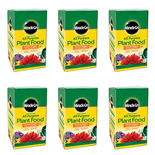 Image of Miracle-Gro All Purpose Plant Food Plant Fertilizer (6 Pack), 3 lb